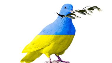 FDP Neunkirchen-Seelscheid