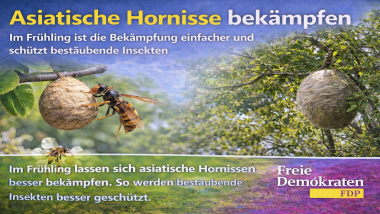 Im Frühling ist die Bekämpfung einfacher und schützt bestäubende Insekten