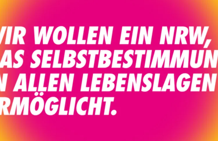 FDP NkS